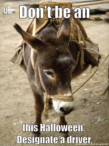 Halloween-Donkey