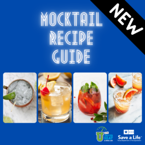 Mocktail Recipe Guide